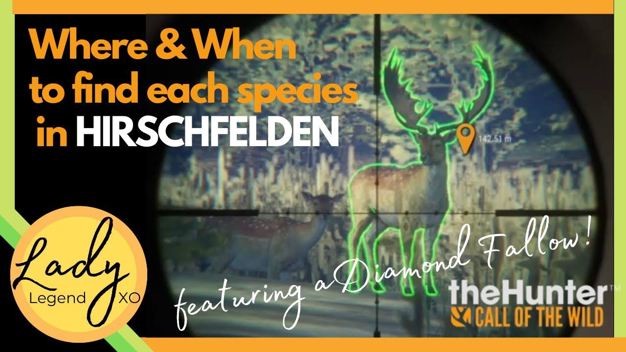 Where & When to Find Each Species in Hirschfelden (feat. Diamond Fallow!) - Hunter: Call of the Wild