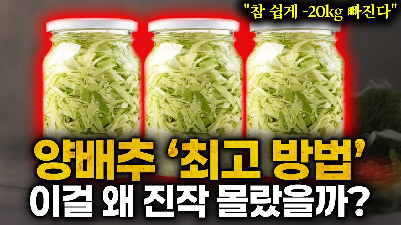 10년 넘게 절대 살 안찌는 몸 됐다! 양배추 '이렇게' 2주 먹었더니 체지방 쥐어 짜내고 굶어도 안빠지는 내장지방 싹 사라졌습니다 (푸드닥터 요리 통합)