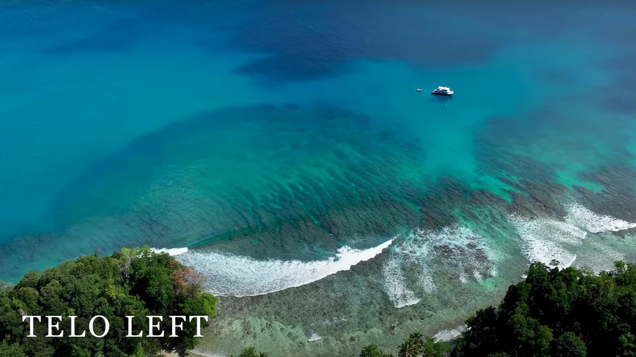 Surfing Telo | The Left