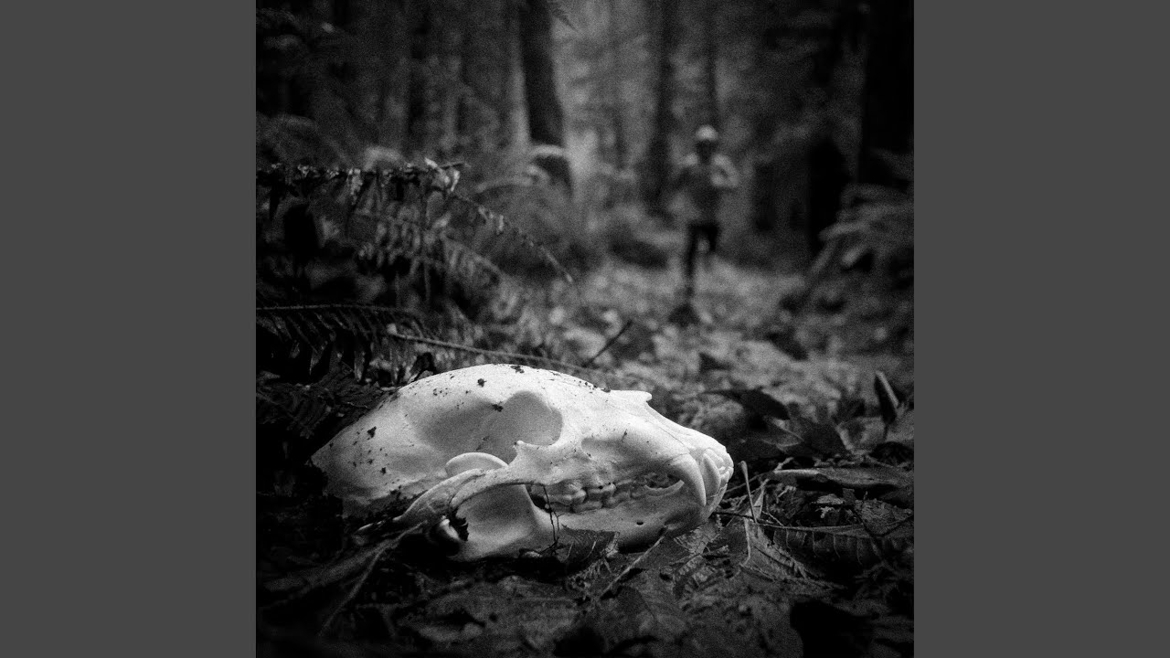 Inaction Is a Slow Death