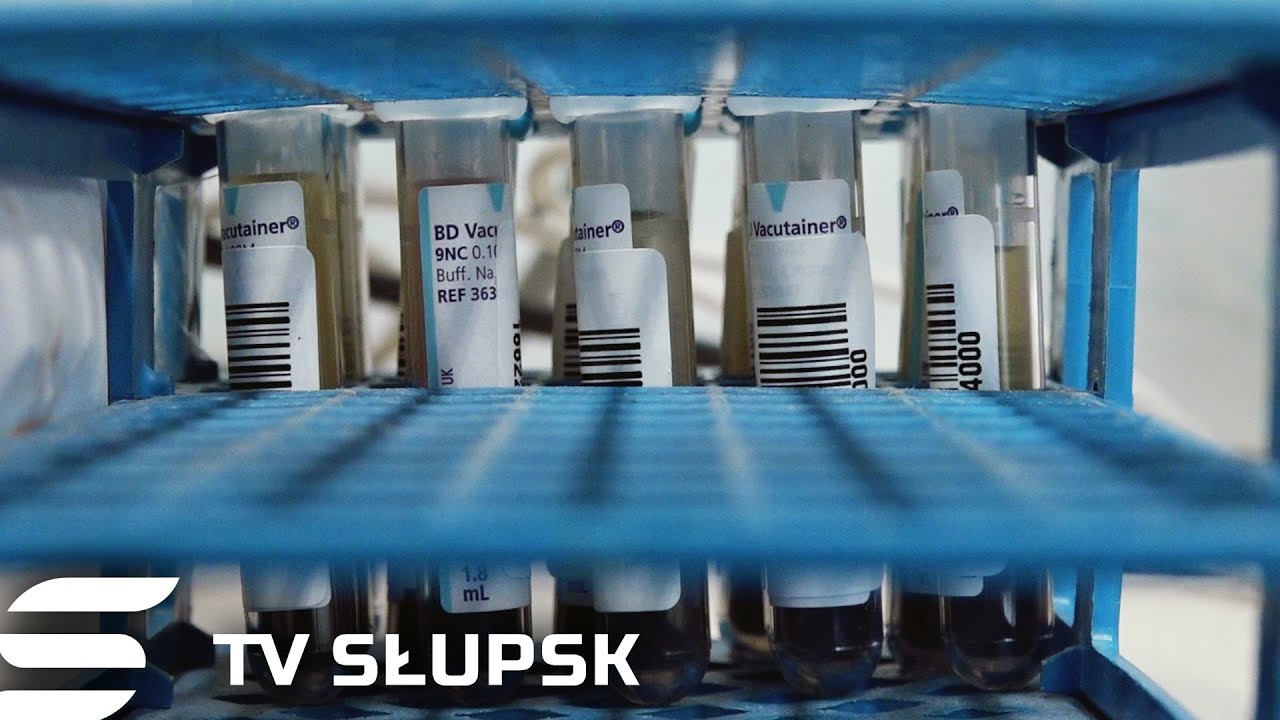 Toksoplazmoza - Przyczyny i Objawy, Pakiet Badań na Święta i Uroginekologia | Zdrowie i Rodzina