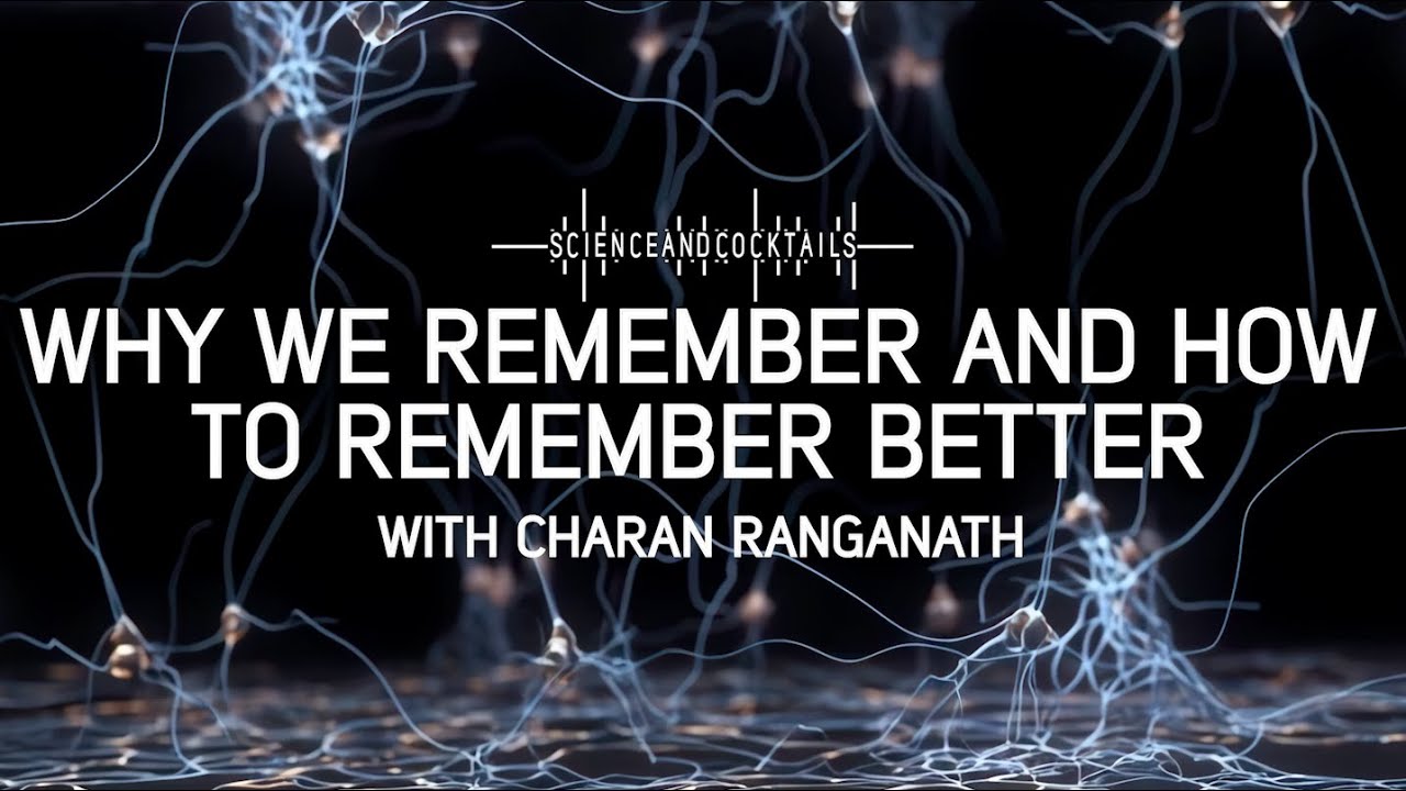 Why we remember and how to remember better