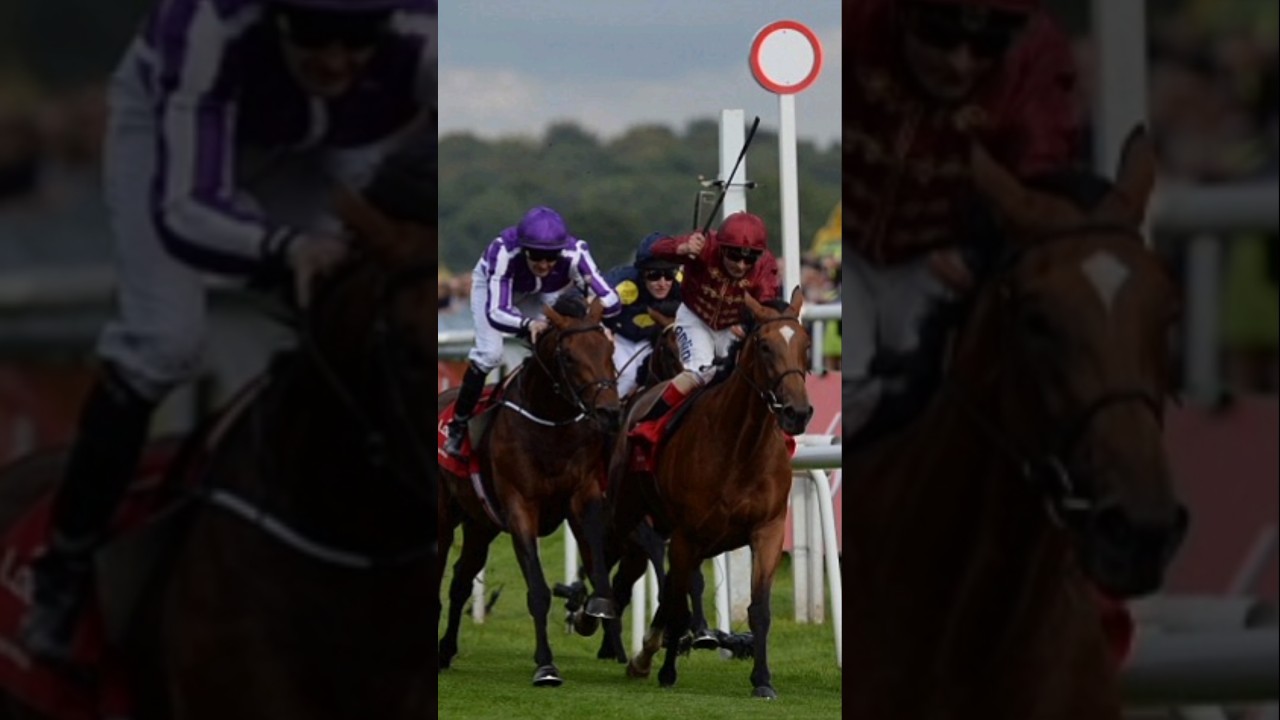 Ladbrokes St Leger Stakes (Group 1) Winner Simple Verse