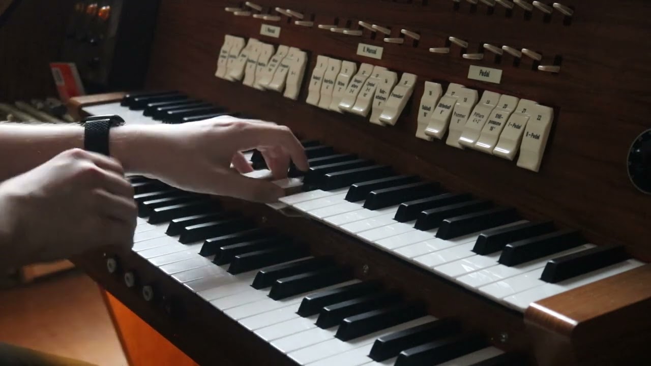 Du hast den Farbfilm vergessen - Nina Hagen (Orgel-Cover)