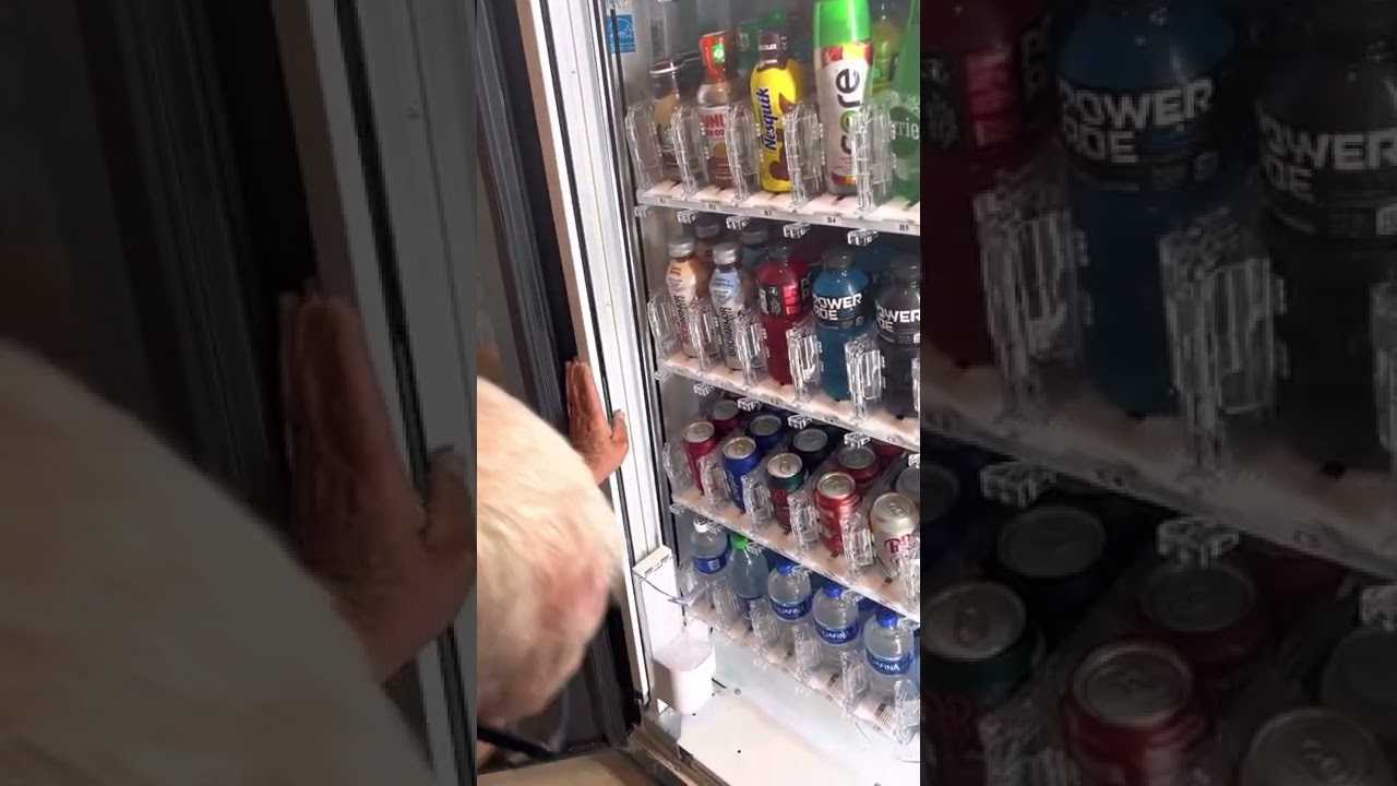 Ошибка Bevmax | Случайное сообщение об ошибке &laquo;Homing Y&raquo; и отсутствие доставки | Как настроить и исправить проблему