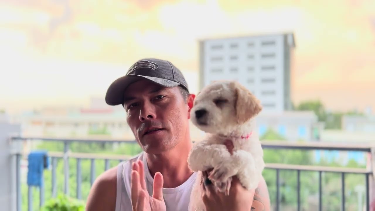 DA NANG LOCAL LIVE: The Apps, The Humidity, & Your Water Delivery Secret