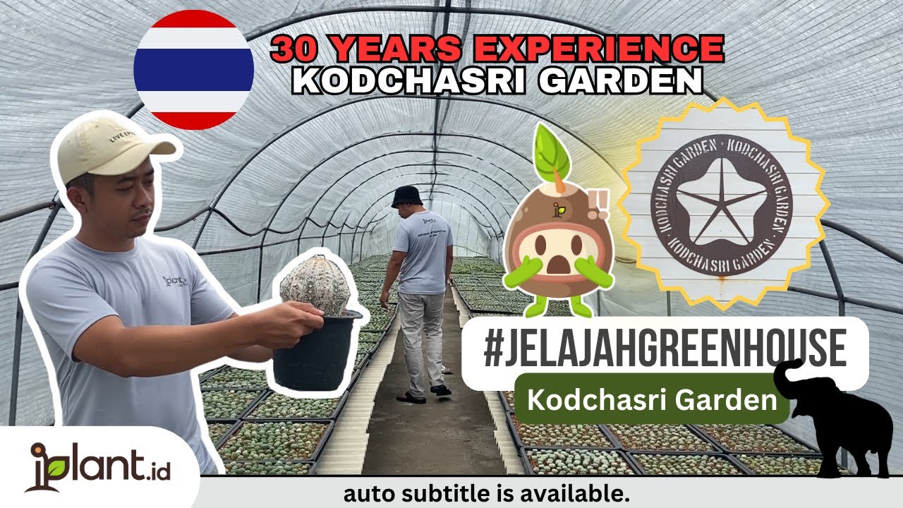 #JELAJAHGREENHOUSE