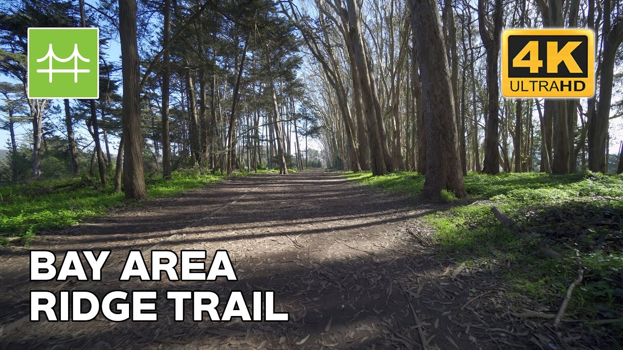 Walking the Bay Area Ridge Trail in the Presidio of San Francisco, California USA 2021 🎧Ambient [4K]