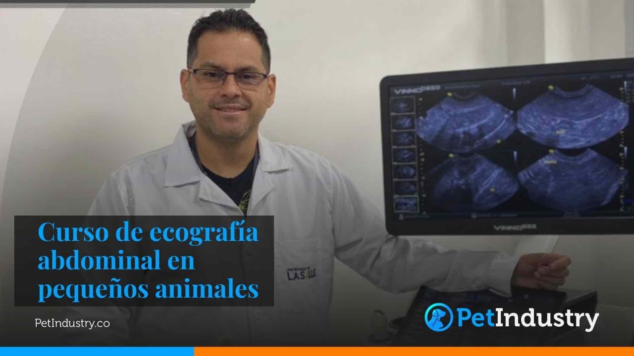 Presentación curso ecografia abdominal en perros y gatos