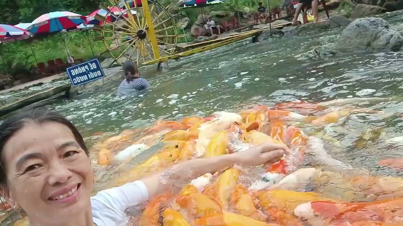 Đi Tắm Khe Tỏ ở Nghĩa Đàn