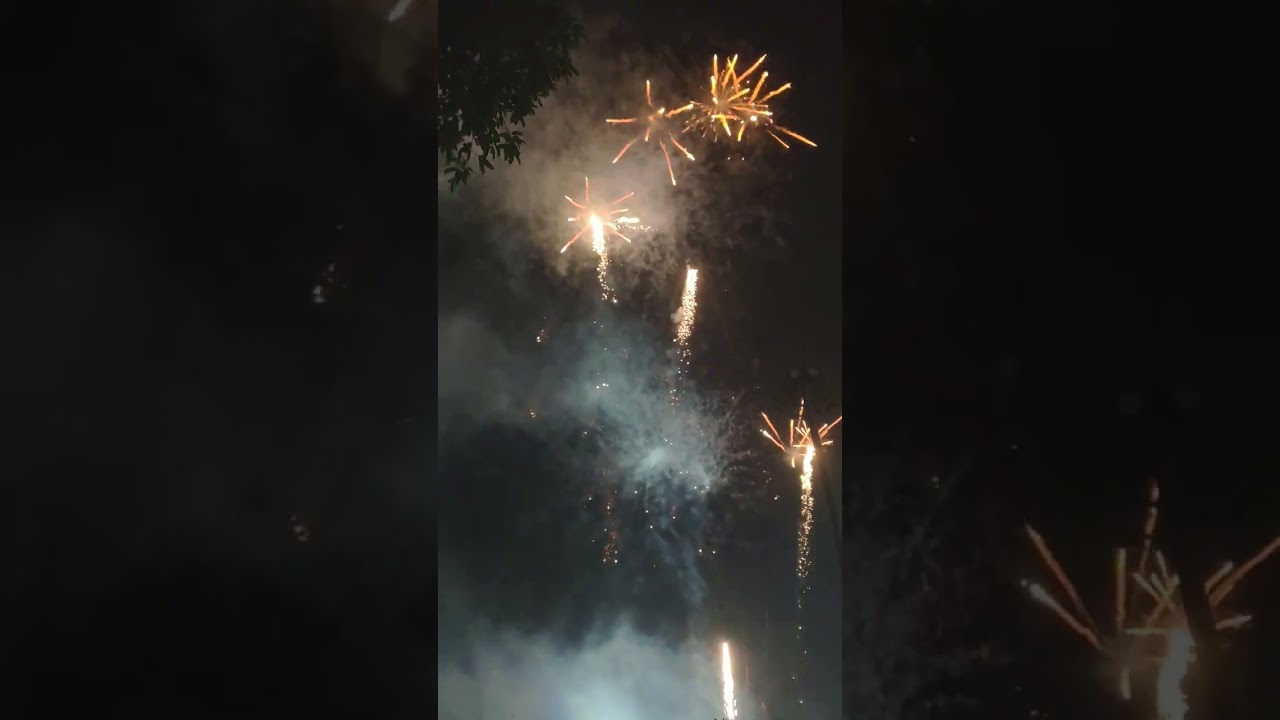 VID 20260217 000221