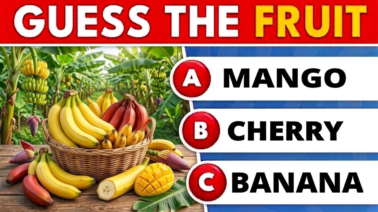 Can You Guess The FRUIT 🍓🍑 | Best  Quiz 2026 🍓🍏🍉 | Panda Quiz 