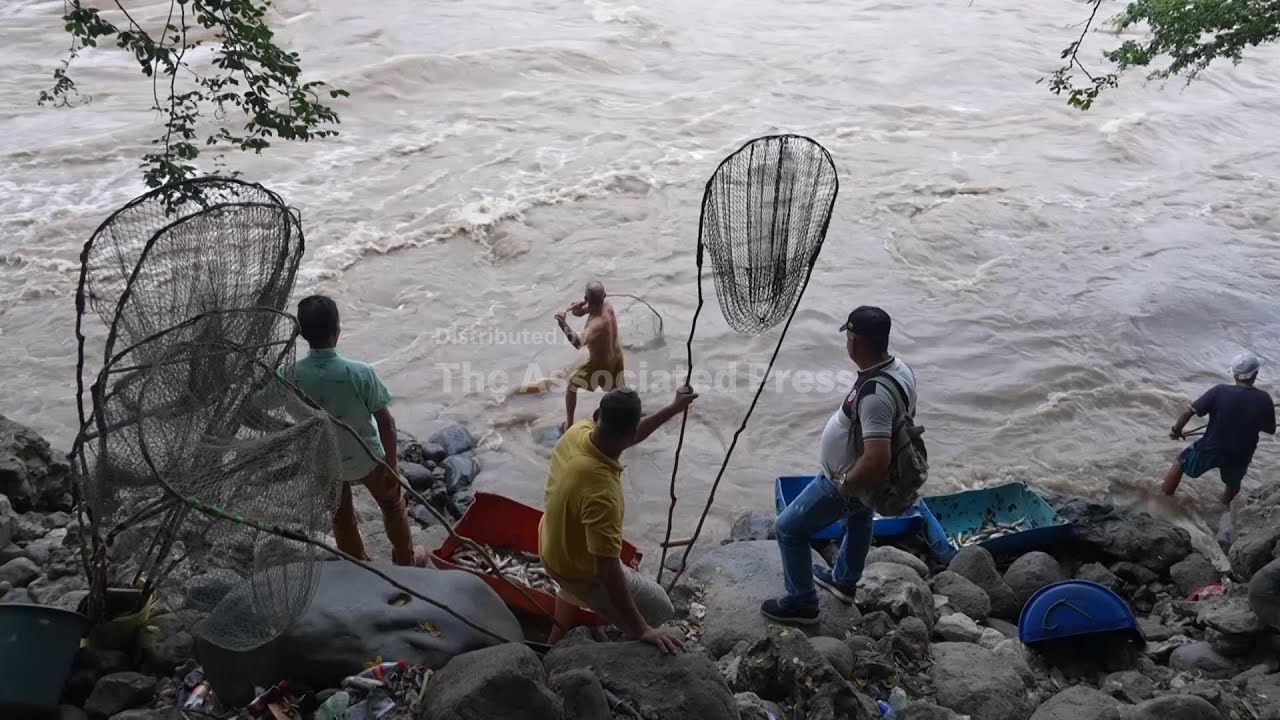 Fish migration sparks traditional fishing frenzy in Colombia