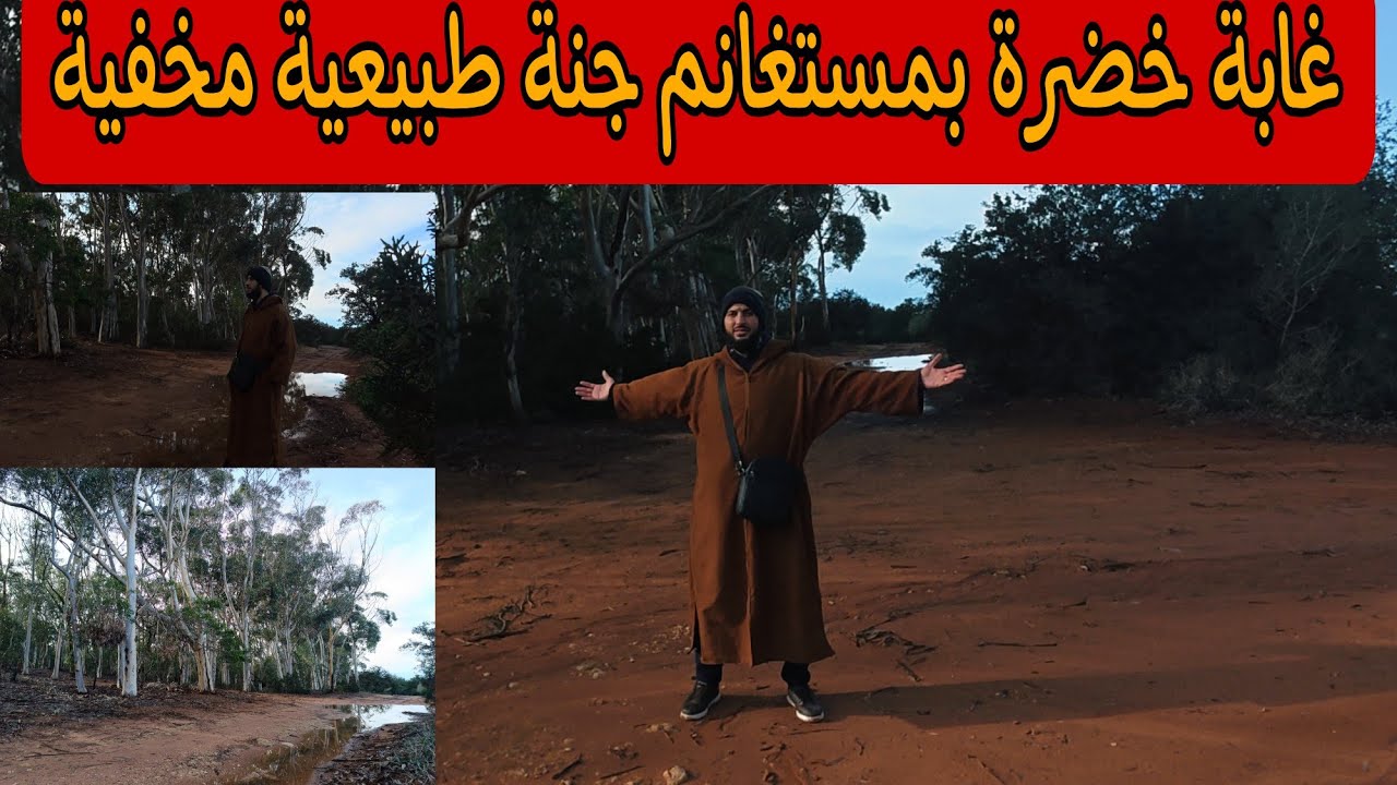 إستكشاف غابة خضرة في مستغانم إسم على مسمى تحس روحك في أكفادو