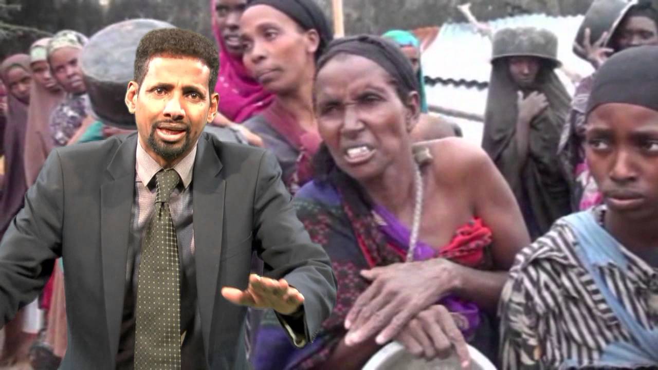 HEESTII DULSAAR HD 2016  OK