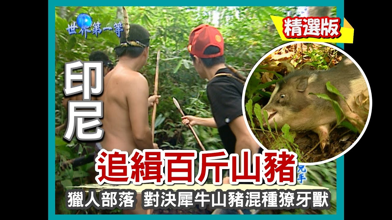 【印尼】神力獵人部落 追緝劍齒獠牙山豬（爪哇最大動物市場／竹筏激流泛舟前進部落）｜《世界第一等》332集精華版