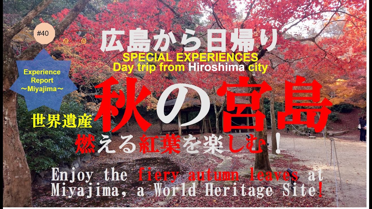 行くべき　広島 秋の宮島！ 多島美、お好み焼きも、楽しむ！Autumn in Miyajima! Enjoy the beauty of the islands and okonomiyaki
