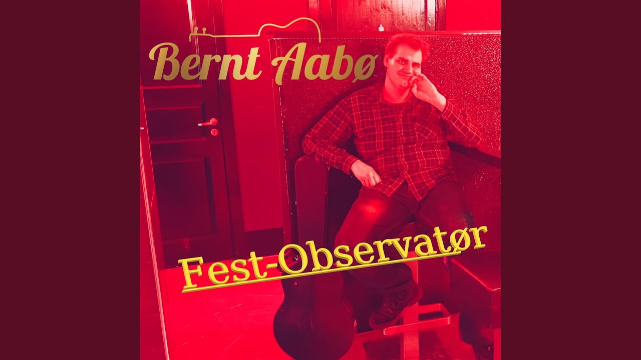Fest-Observatør
