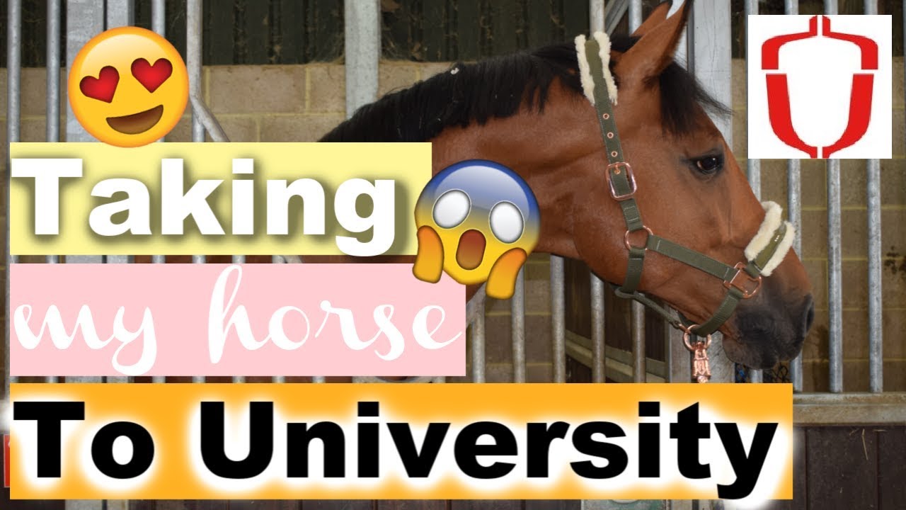 Taking my Horse to Hartpury Equine University!! | UNI VLOG 2 | Ride Every Stride