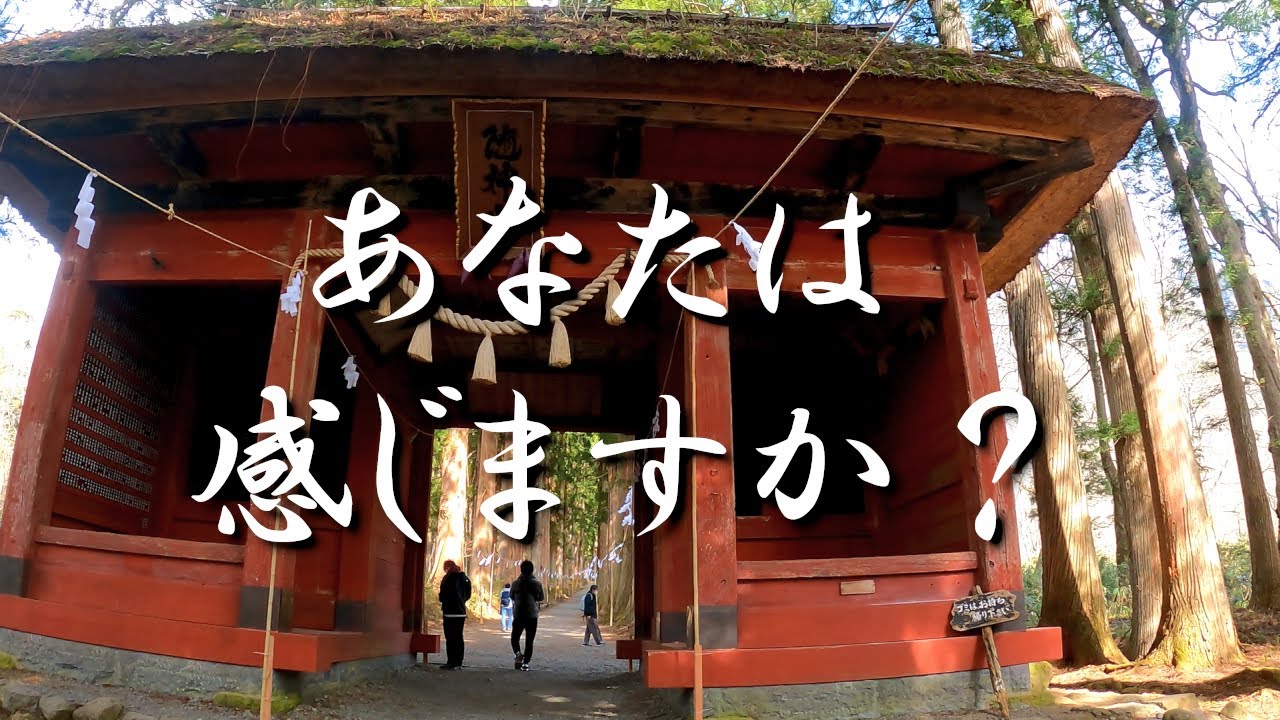 【戸隠神社奥社】※強力波動⚠️山岳系神様の波動を感じますか？｜遠隔参拝#10｜Togakushi Shrine Japan