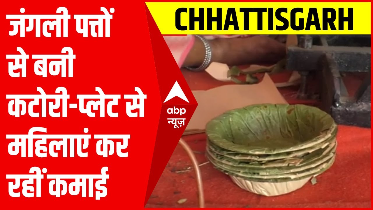 Chhattisgarh: जंगली पत्ते से कटोरी-प्लेट बना गरियाबंद की ग्रामीण महिलाएं को मिला रोजगार