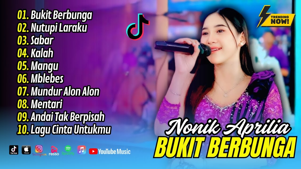 BUKIT BERBUNGA - NONIK APRILIA (Disogok Keri Keri) - NUTUPI LARAKU - SABAR || DANGDUT TERBARU 2025