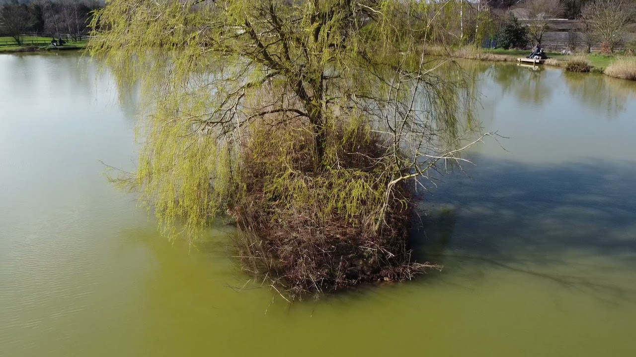 Lowlands Farm Lake - Rochford Angling Club