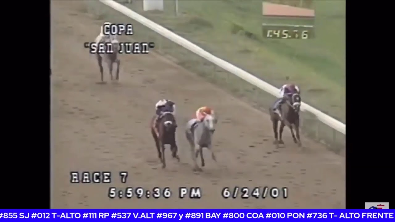 Recomendaciones para las carreras de Hip&oacute;dromo Camarero y Simulcast 31-12-2020