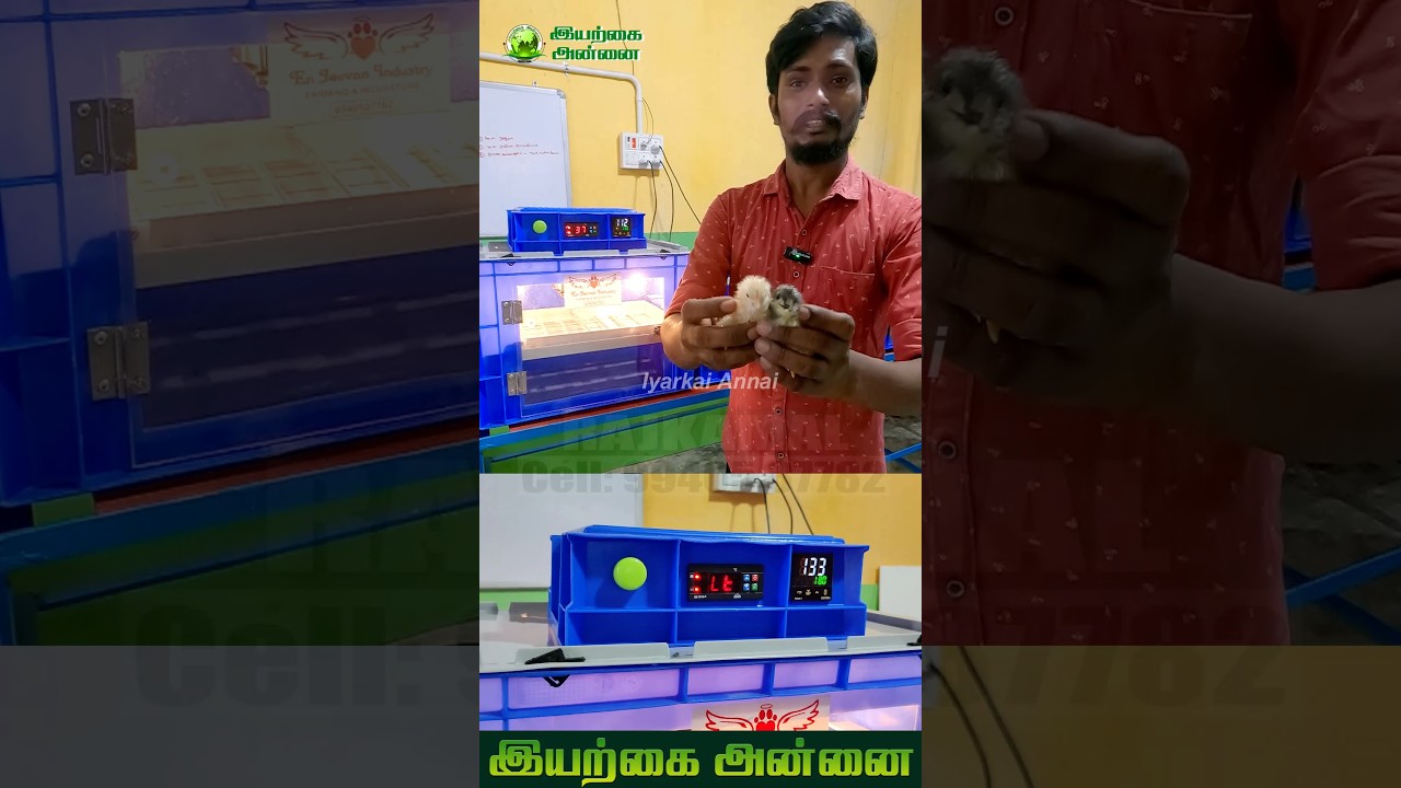 40 to 70 egg capacity incubator sales 