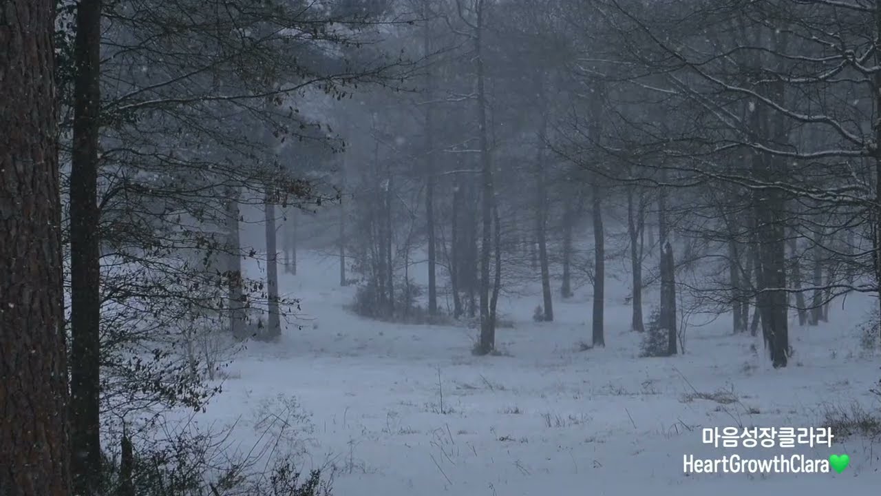 [마음성장클라라💚] 겨울밤, 마음이 울컥해지는 따뜻한 감성 트로트 1시간 | Warm Winter Night Korean Trot for Emotional Healing 1Hour