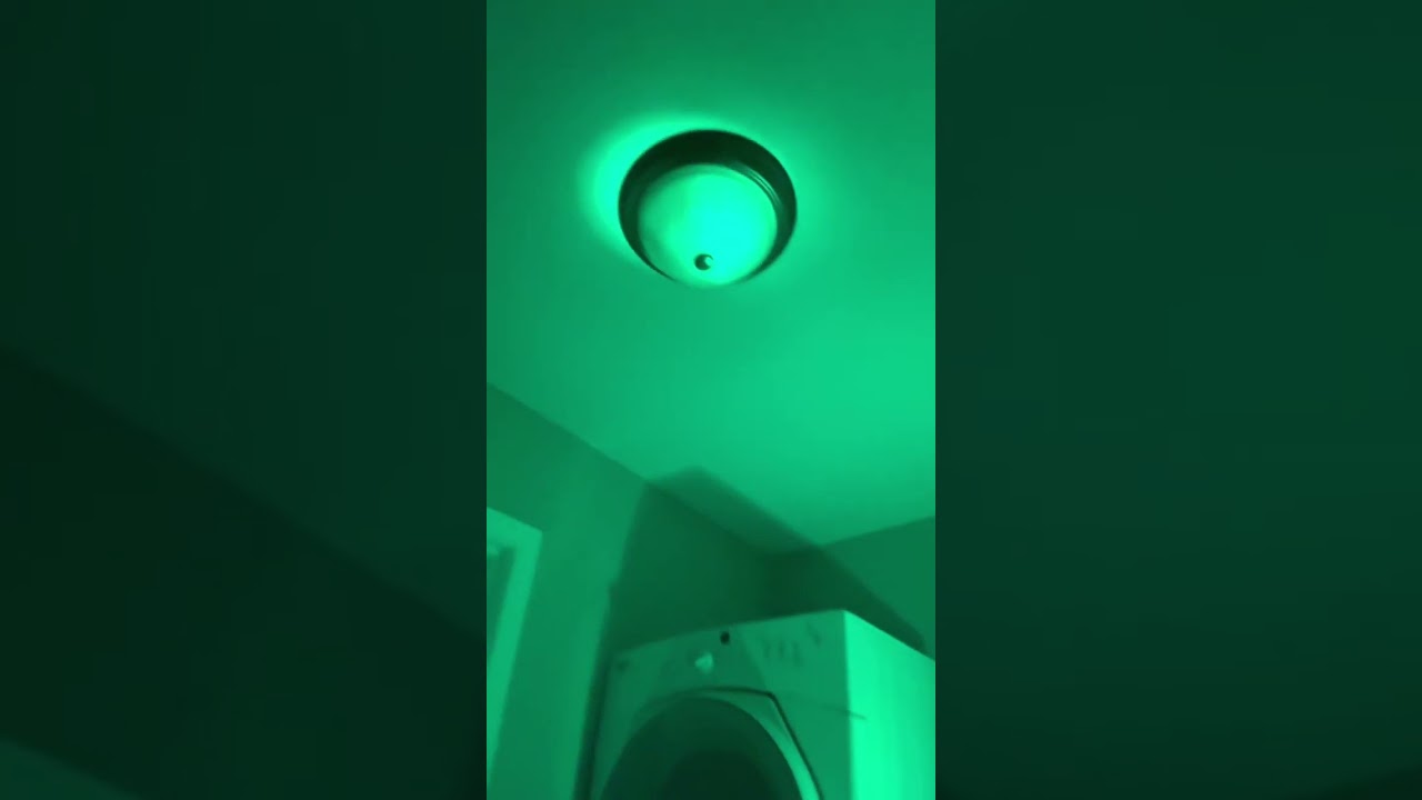 Lights
