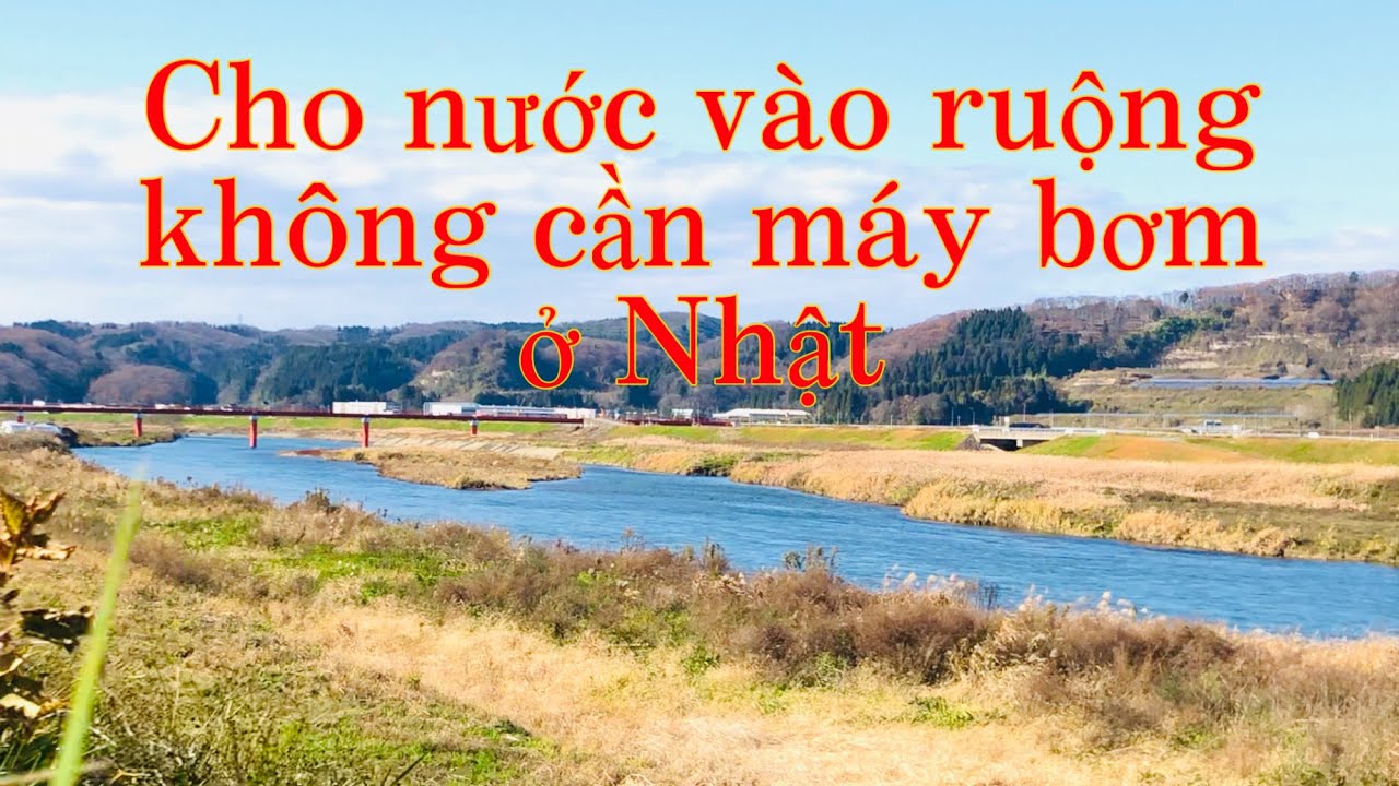Cảnh đẹp làng quê và cách cho nước vào ruộng không cần máy bơm ở Nhật.