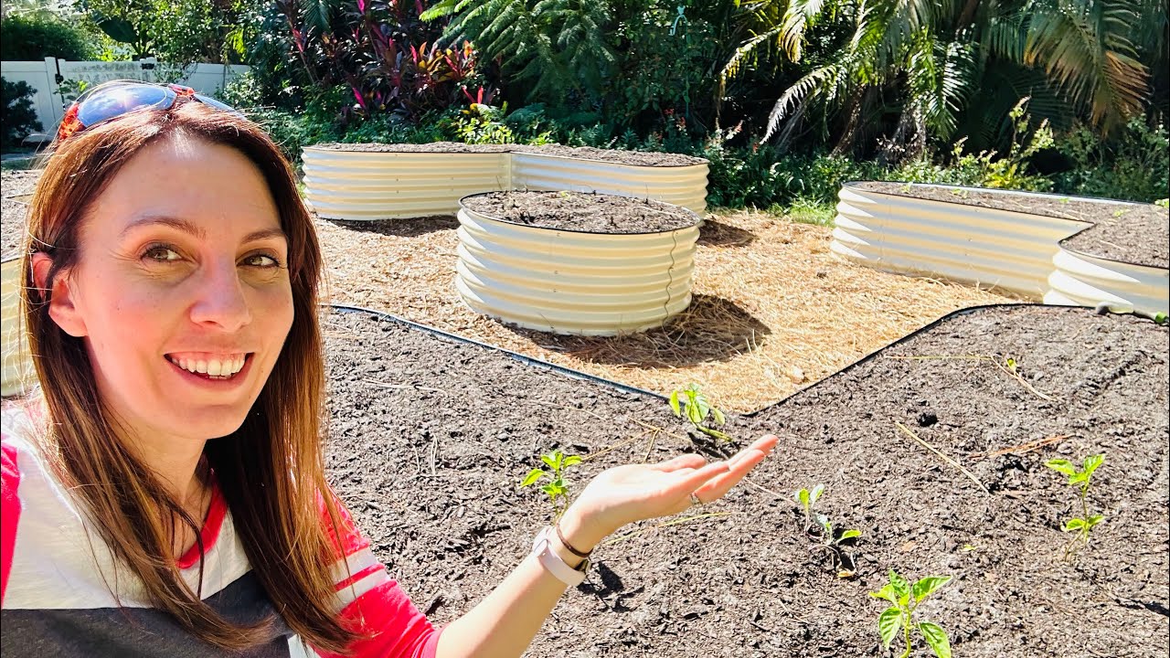 Escape the Cold: Unleashing the Power of Seed Starting your Winter Garden in Florida