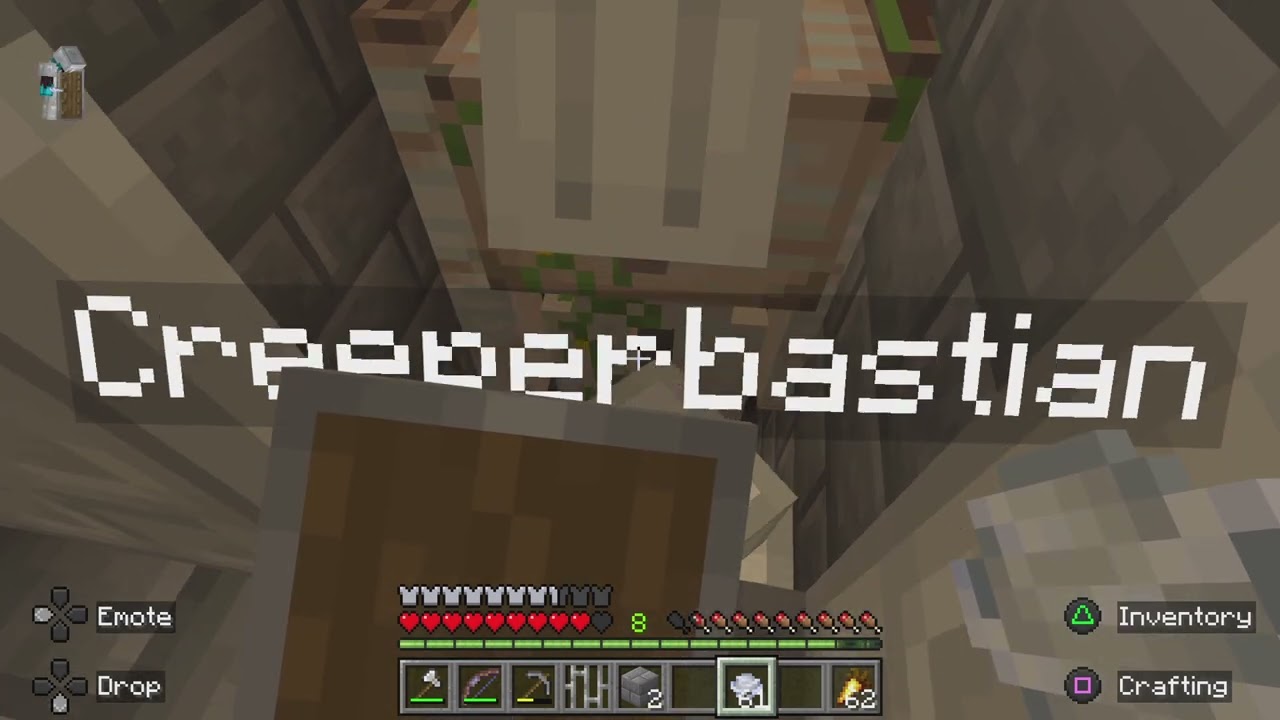 Minecraft Illager #13 2