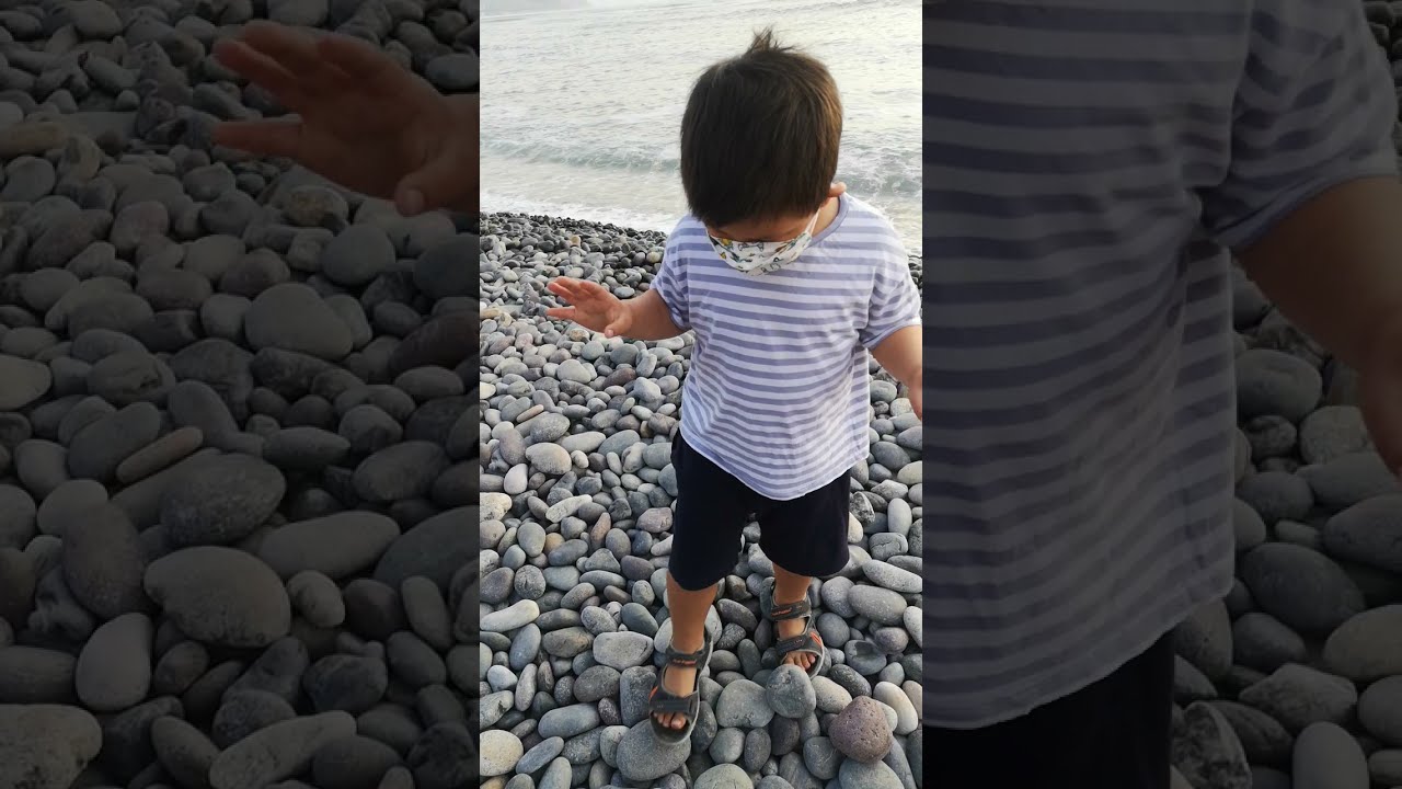 Explorando en la playa de Lima encontr&eacute; unos cangrejos secos. #shorts animales marinos