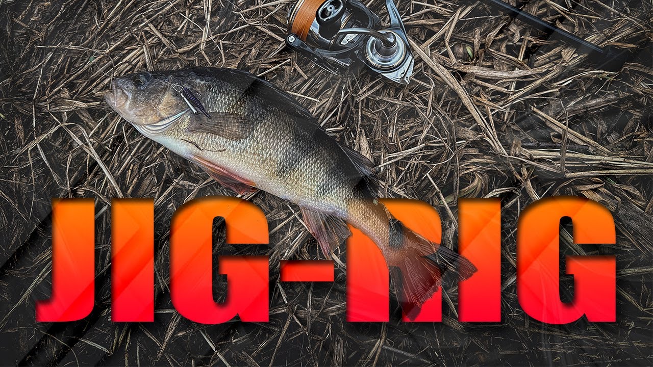 Vangūs pavasariniai ešeriai Jig-Rig'u