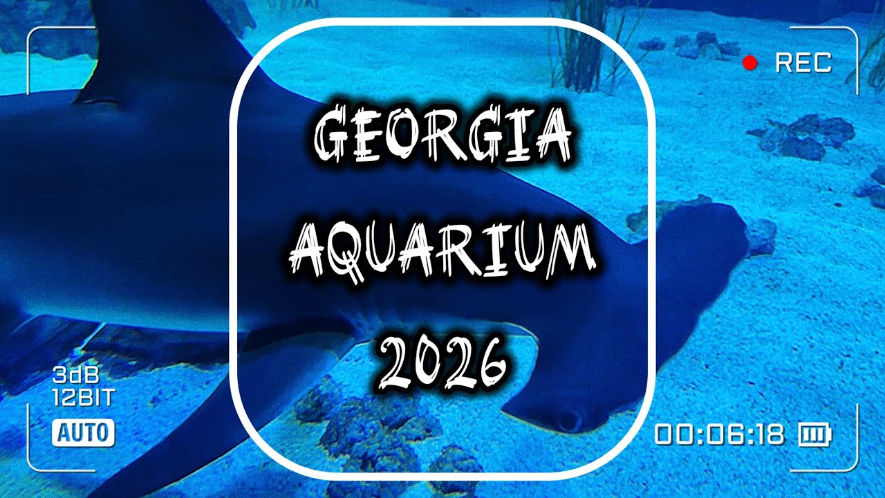 Family Vacation | Georgia Aquarium | 01.02.2026