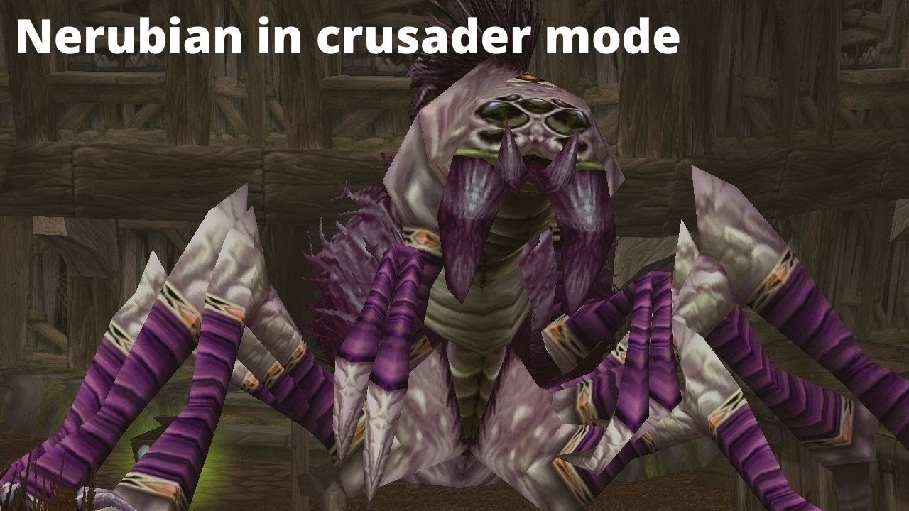 Nerubian in cursader mode