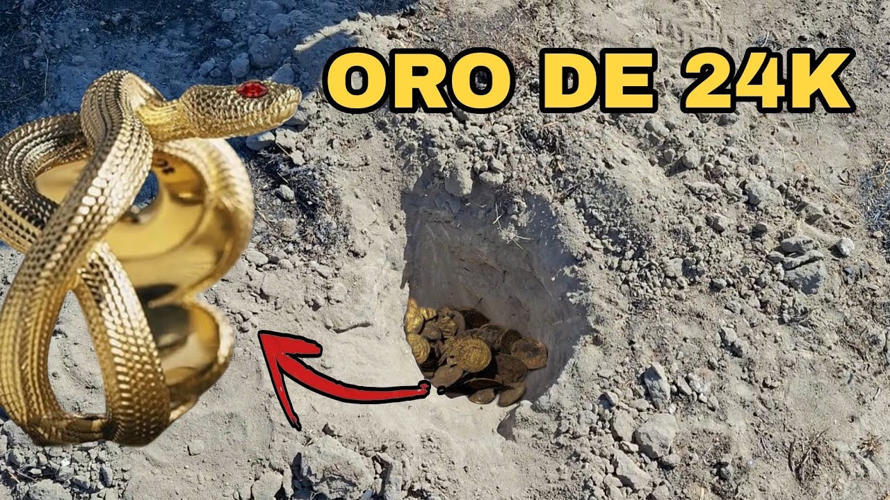 HALLAZGO INESPERADO ¡SERPIENTE DE PLATA Y ORO! Me dejó sin palabras 