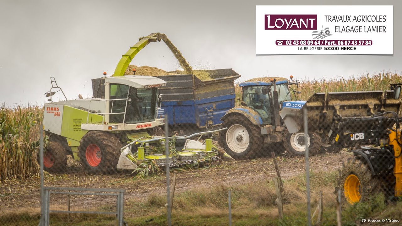CLAAS JAGUAR 840 Ensilages Maïs 2K19 - Eta Loyant