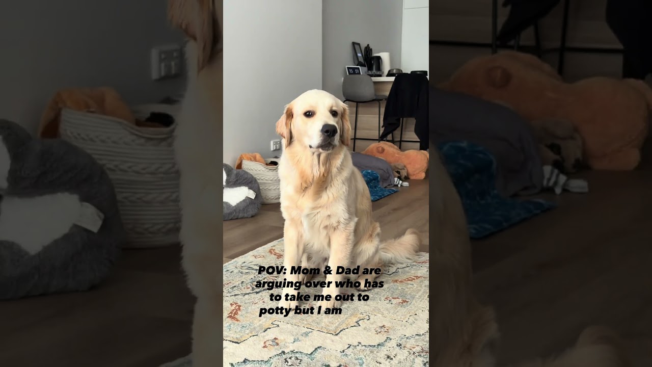 It&rsquo;s urgent 🚨