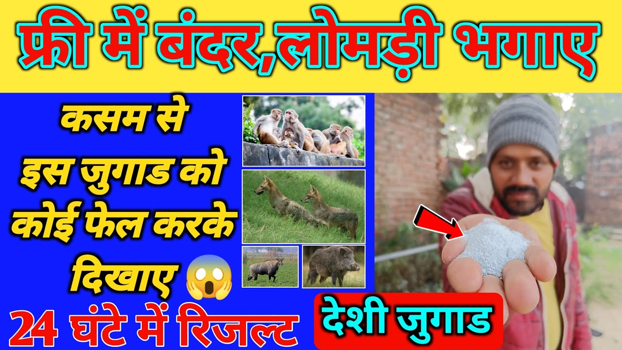 फ्री में बंदर और लोमड़ी भागने का देशी जुगाड | jangali suar bahgane ka tarika|nilgai bhagane ka upay