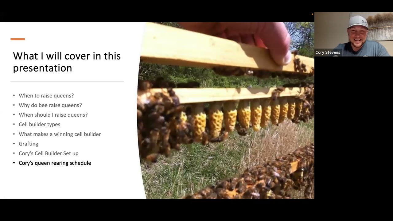 April Patreon Zoom - Cell Builders That Don't Suck