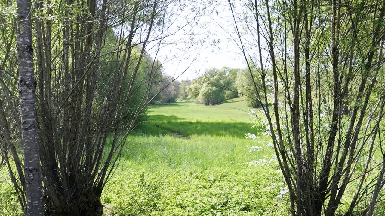 La Com Com peut-elle m'aider à faire découvrir nos espaces naturels ?
