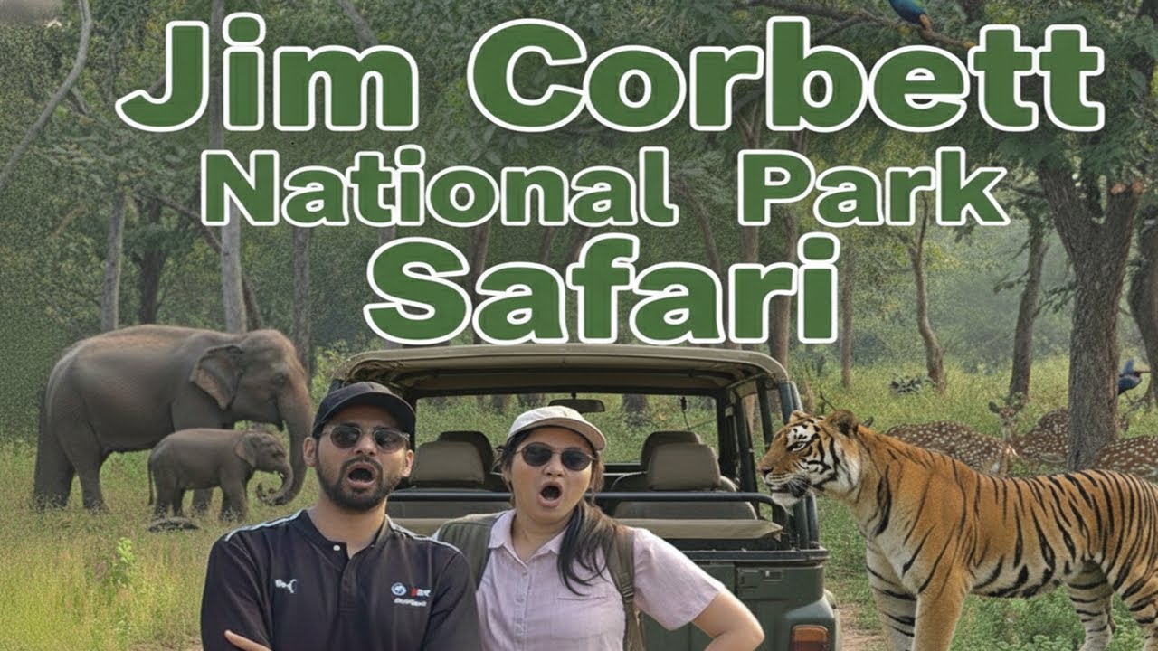 Jim Corbett National Park | Hotel. Safari booking, Route, Travel Guide, itinerary | Vlog