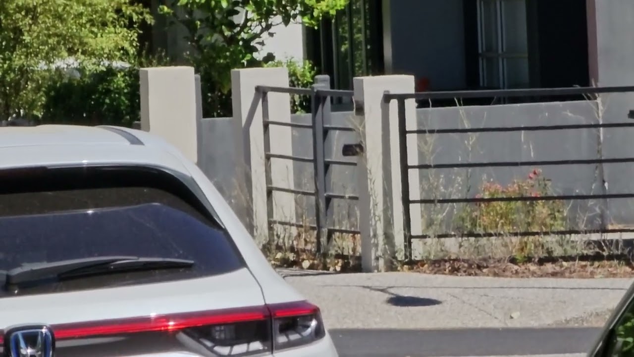 S23 ultra 4k zoom 
