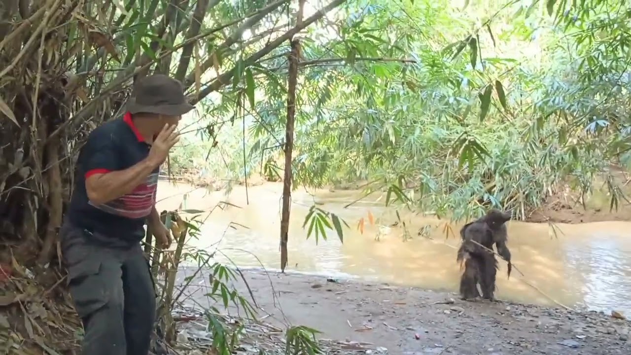 VIRAL 2026❗❗SUKU MANTE MUNCUL TIBA TIBA DI HUTAN 