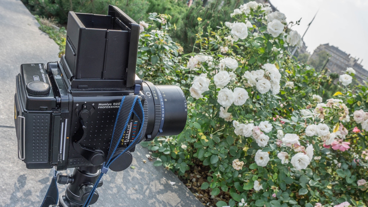 Using Sekonic Flashmate for Multi-Flash Lightmetering on Mamiya RZ67