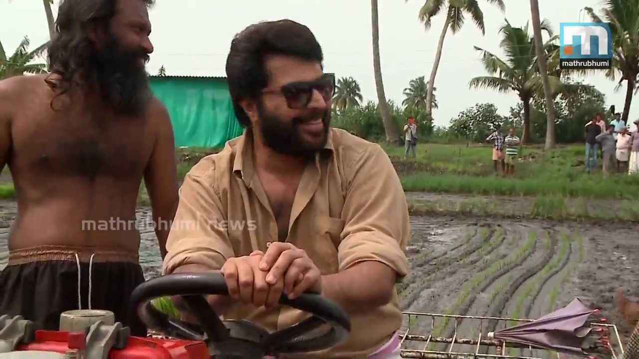 Mammootty Seeding in Paddy Field