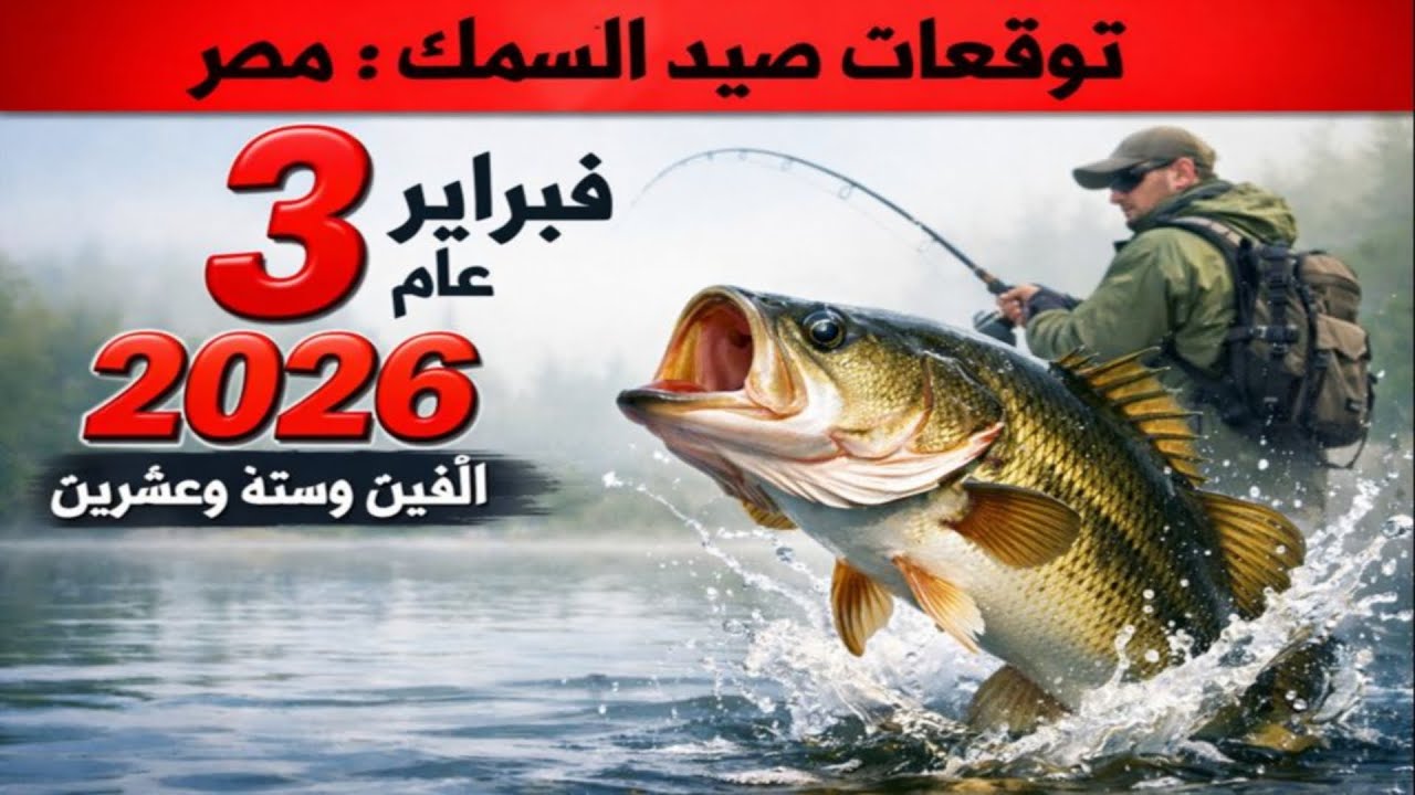 توقعات الصيد في مصر لـ 3 فبراير 2026: اترك كل شيء وانطلق إلى الصيد!